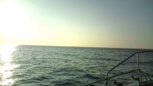 F1000630 - コピー