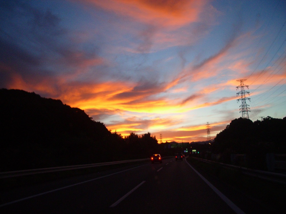 IMGP3044 - コピー