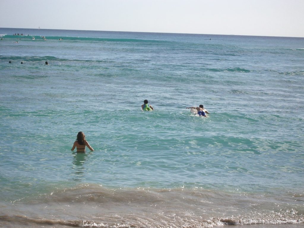 IMGP0445 - コピー