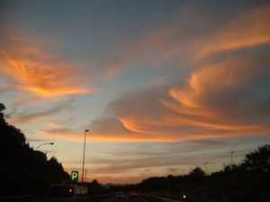 IMGP3038 - コピー