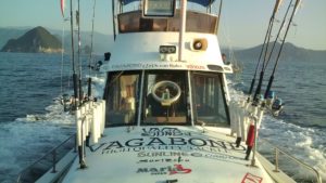 F1000634 - コピー