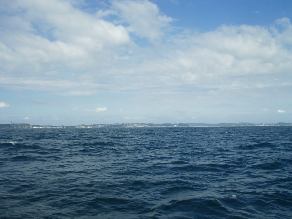 imgp3114-%e3%82%b3%e3%83%94%e3%83%bc