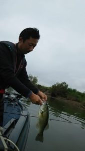 dsc_3065-%e3%82%b3%e3%83%94%e3%83%bc