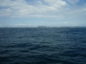 imgp3108-%e3%82%b3%e3%83%94%e3%83%bc