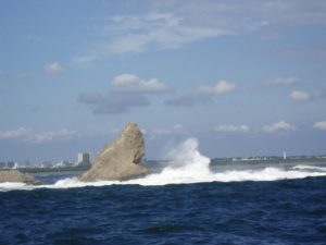 imgp3138-%e3%82%b3%e3%83%94%e3%83%bc