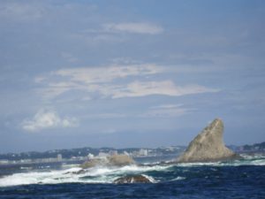 imgp3145-%e3%82%b3%e3%83%94%e3%83%bc