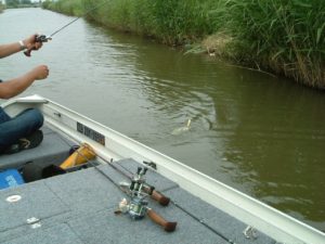 %e3%83%88%e3%83%83%e3%83%9752-%e3%82%b3%e3%83%94%e3%83%bc