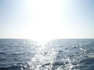 imgp3218-%e3%82%b3%e3%83%94%e3%83%bc